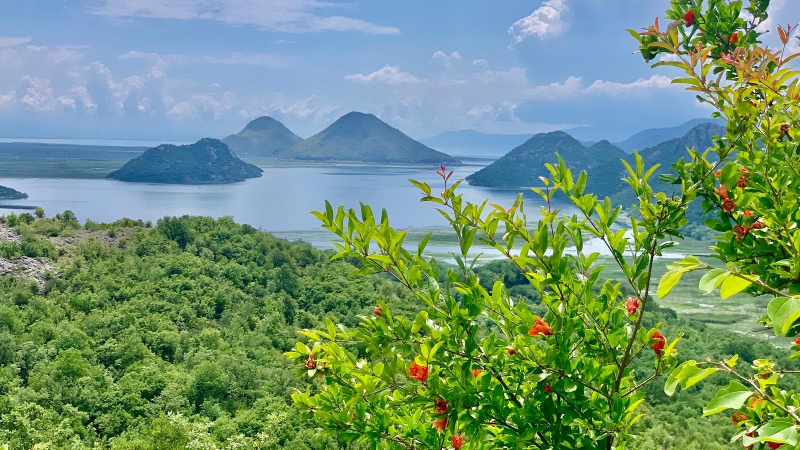 Lake Skadar, a UNESCO Biosphere Reserve, seen from the Jablan vineyards