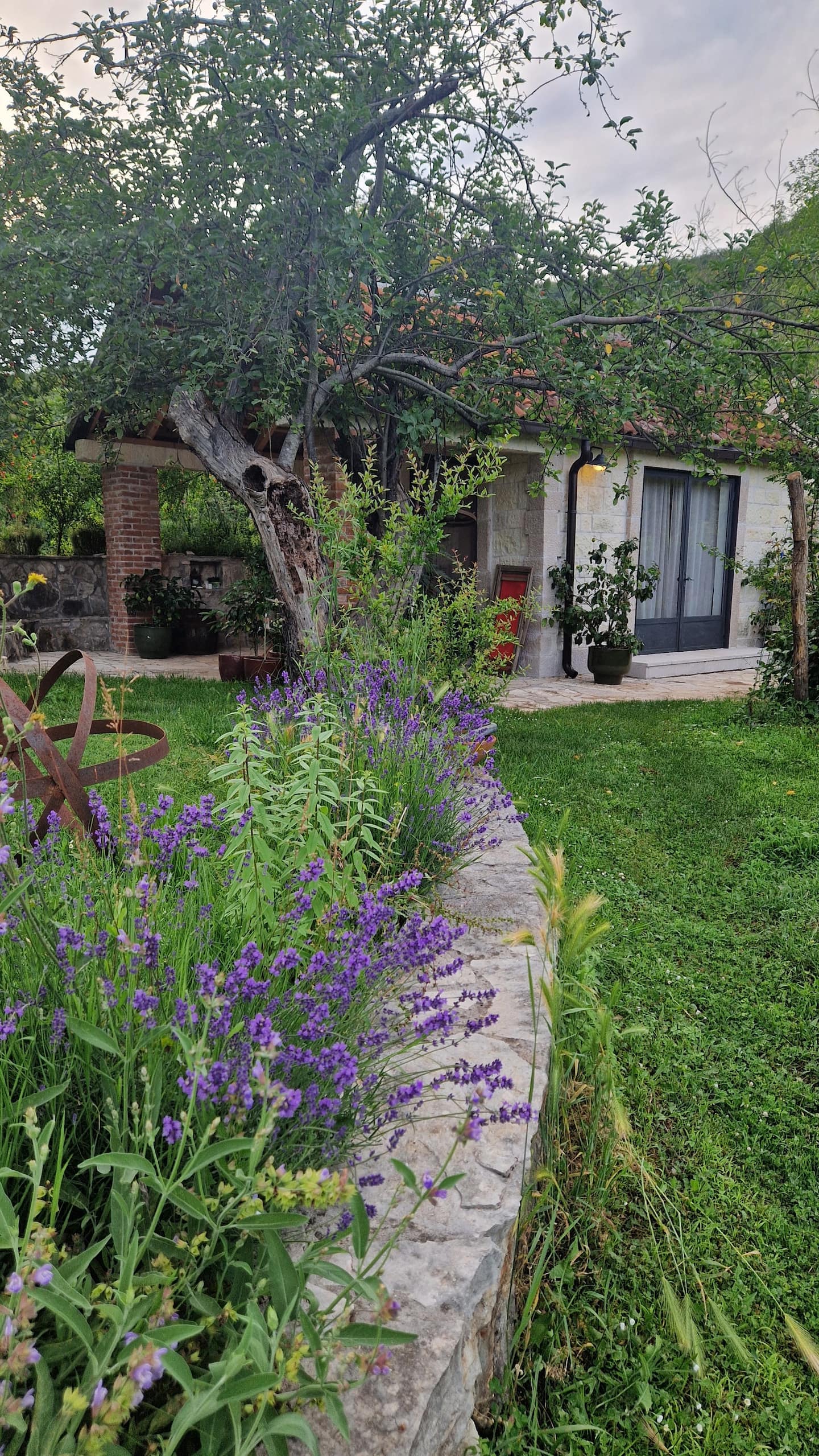 The Vineyard Studio at Jablan Winery — a stone cottage behind lavender and an old apple tree