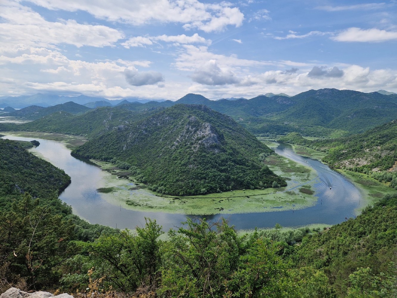 The Crnojević river winding through the Skadar Lake watershed