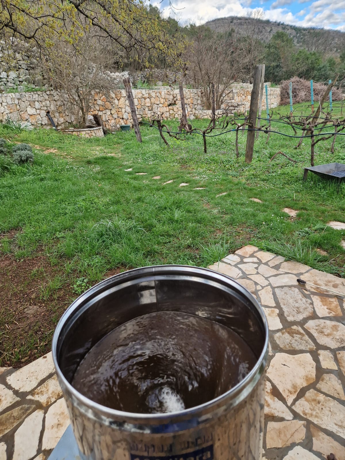 Fermentation underway, with the vineyard beyond